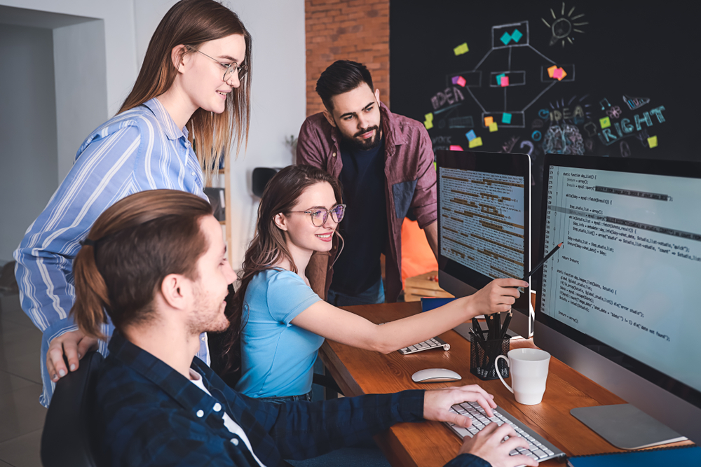 Software Strategy